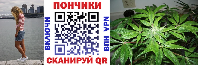 Наркотические вещества Сретенск Конопля  LSD-25  Гашиш  Галлюциногенные грибы  ГЕРОИН  Меф мяу мяу  Cocaine 