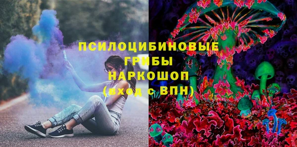 бошки Новозыбков