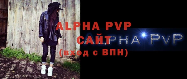 PSILOCYBIN Бородино
