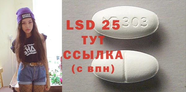 PSILOCYBIN Бородино