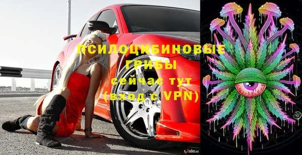 крисы Верхний Тагил