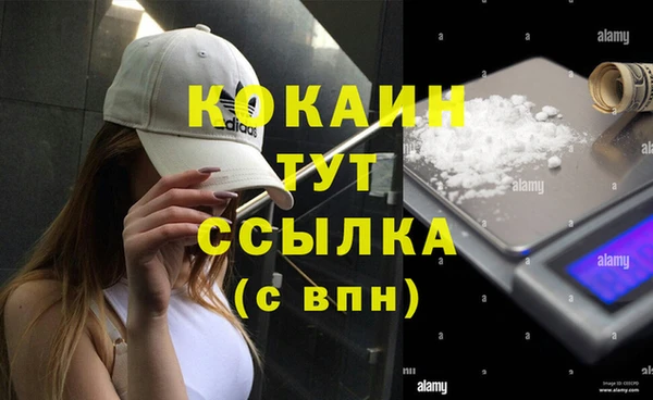 PSILOCYBIN Бородино