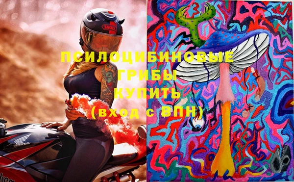 PSILOCYBIN Бородино