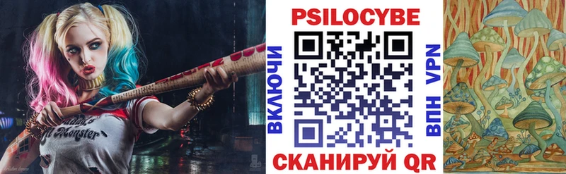 Псилоцибиновые грибы Psilocybine cubensis  магазин продажи наркотиков  Сретенск 